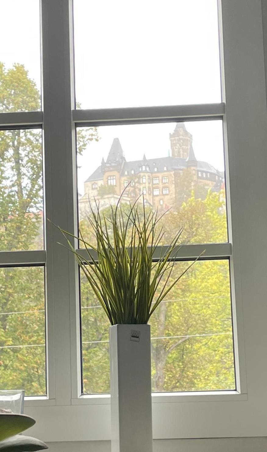 Apartament Haus Kreuzberg Mit Schlossblick Wernigerode Zewnętrze zdjęcie